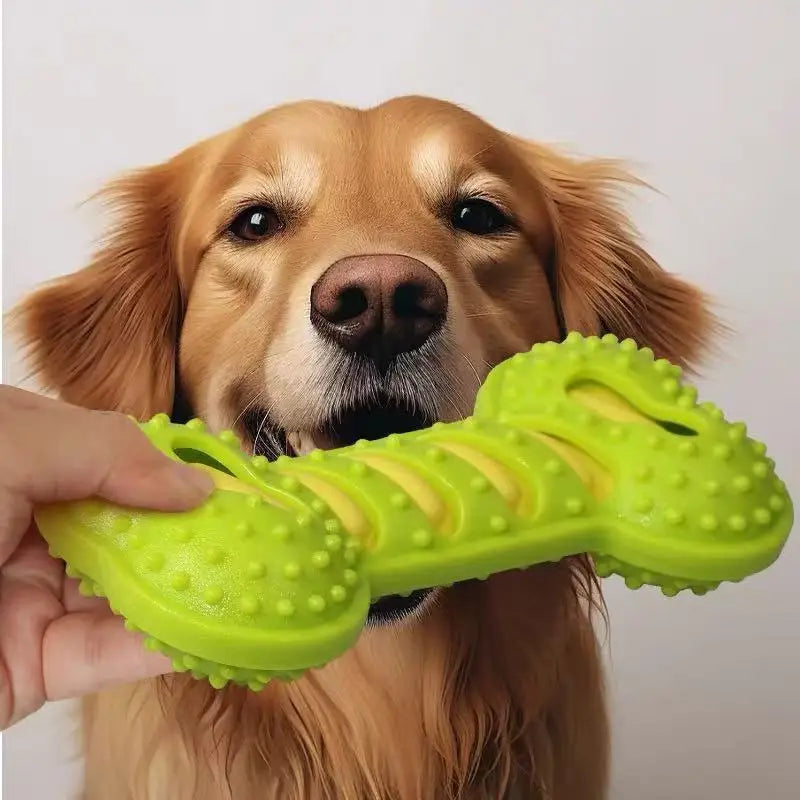 Rubber Bone Bite Resistant Chew Toy