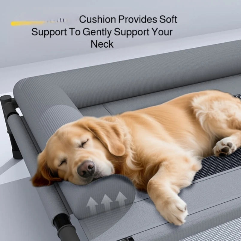 Floor-Off Mesh Pet Bed