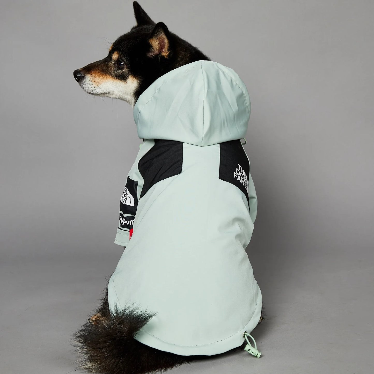 TheDogFans Waterproof Luxury Raincoat