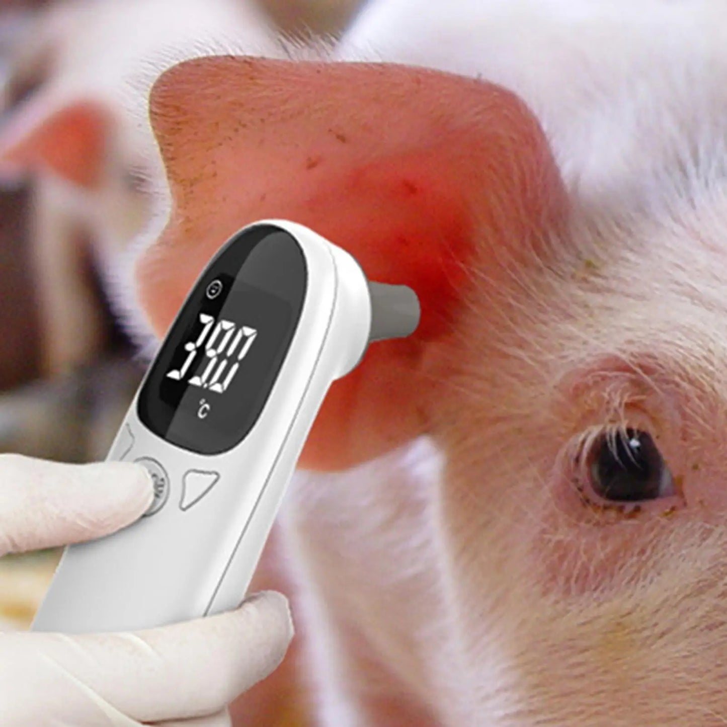Digital High-Precision Electronic Pet Ear Thermometers