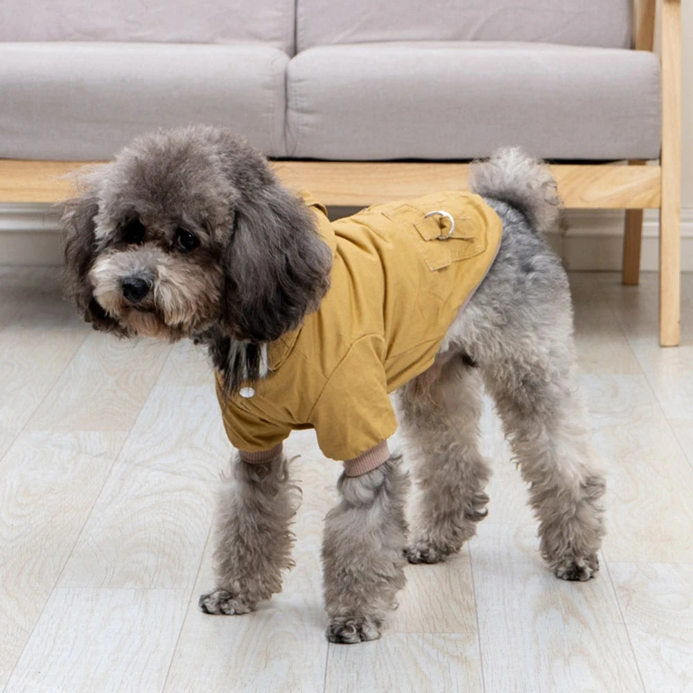 Warm Winter Fashion Jackets