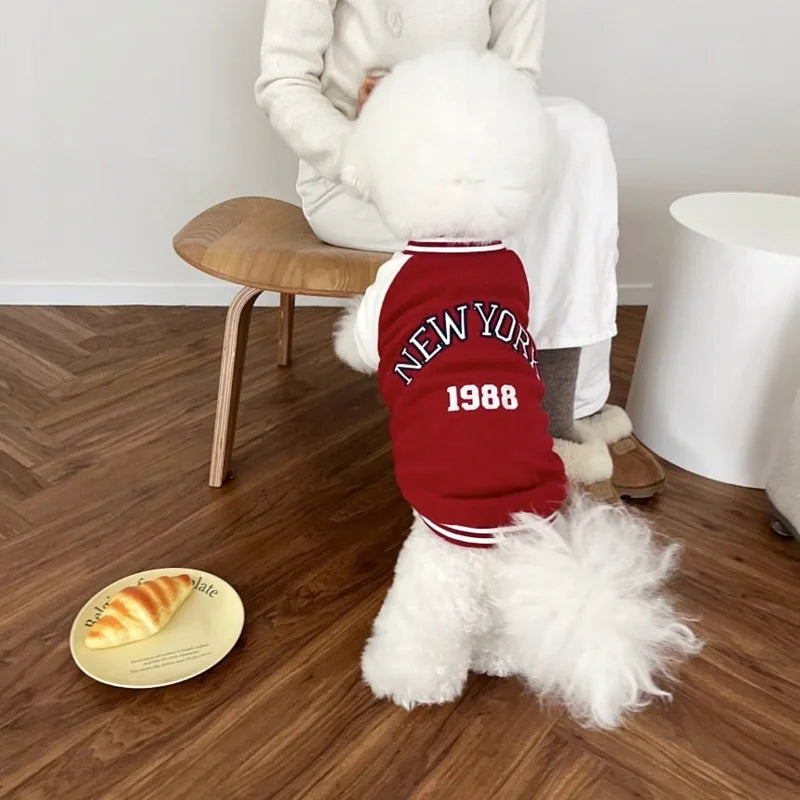Fashion Baseball Jackets
