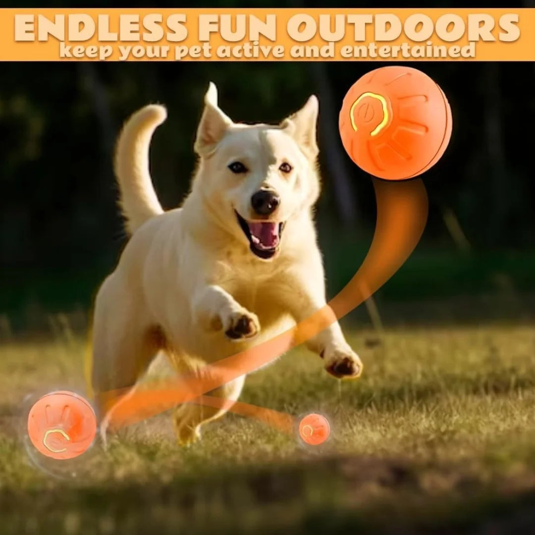 Gravity Electric Smart Bouncing Ball