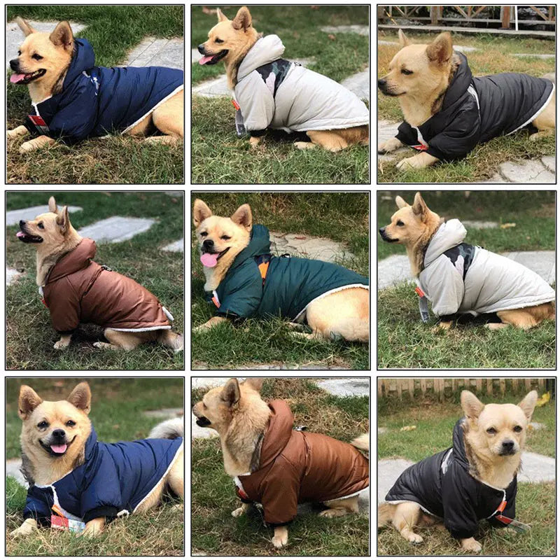 Fistork Warm Waterproof Jacket