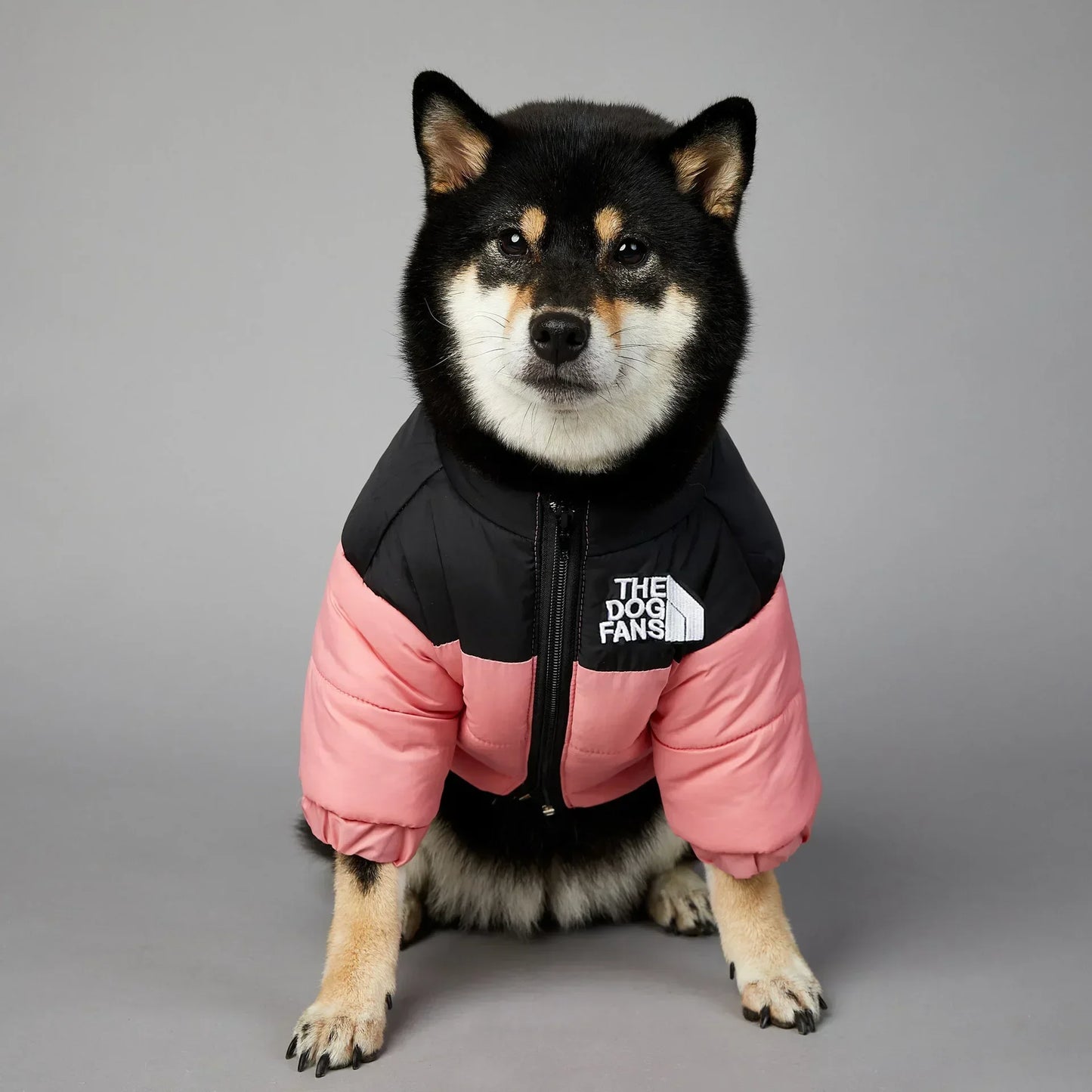 TheDogFans Luxury Jacket