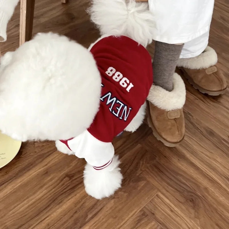 Fashion Baseball Jackets