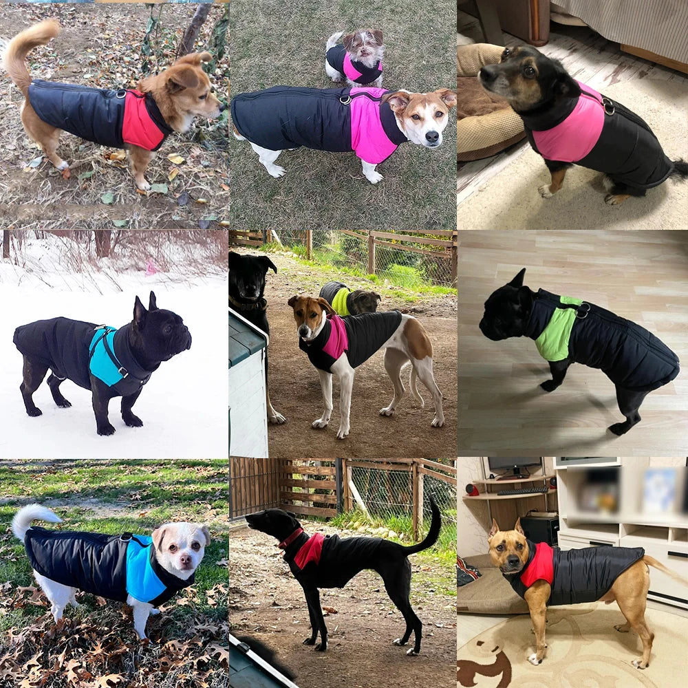 Windproof Waterproof Vest With D-ring Pug