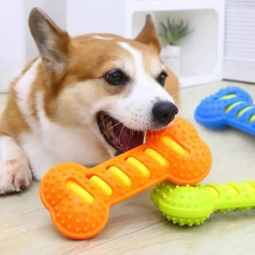 Rubber Bone Bite Resistant Chew Toy