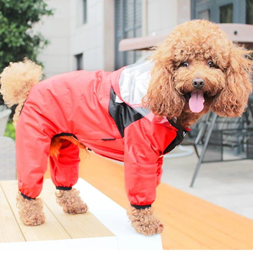 TheDogFace Raincoat Transparent Hooded Jumpsuit