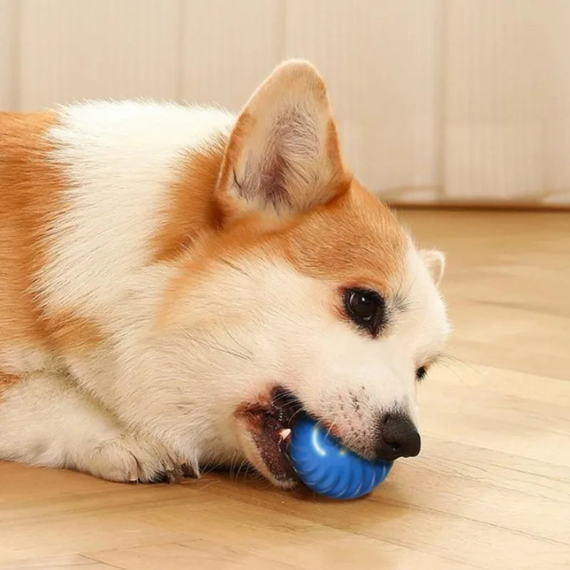 Automatic Smart USB Jumping Rotating Interactive Dog Chew Toy