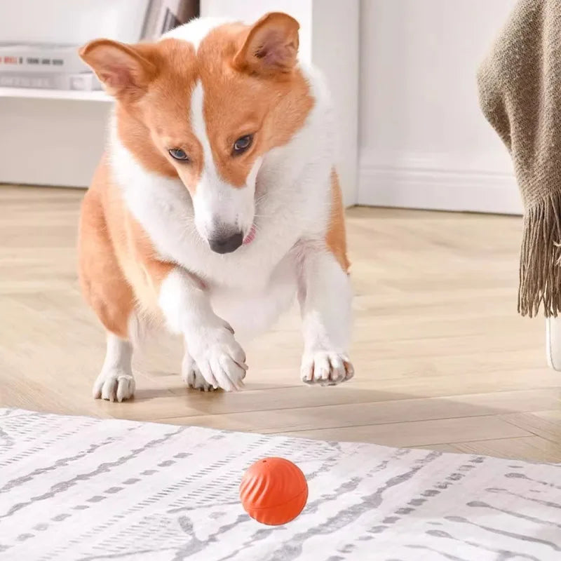 Automatic Smart USB Jumping Rotating Interactive Dog Chew Toy