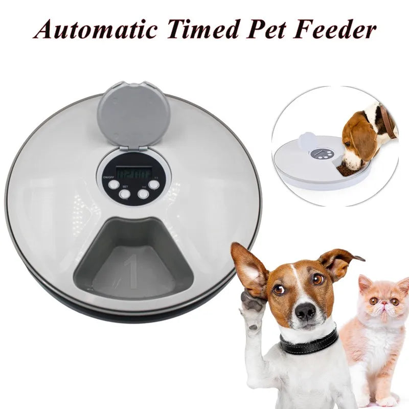 Automatic Timing Feeder 6 Meals