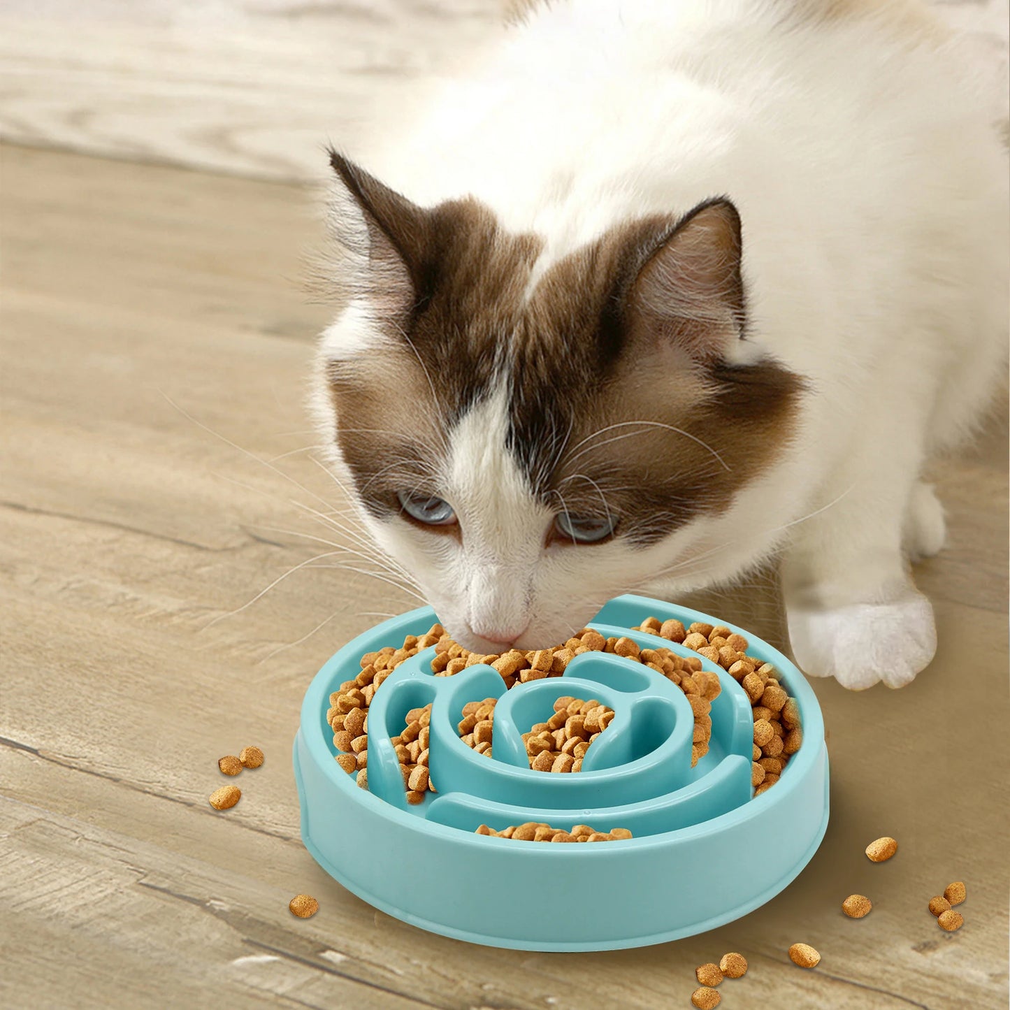 Slow Feeder Fun Bowl