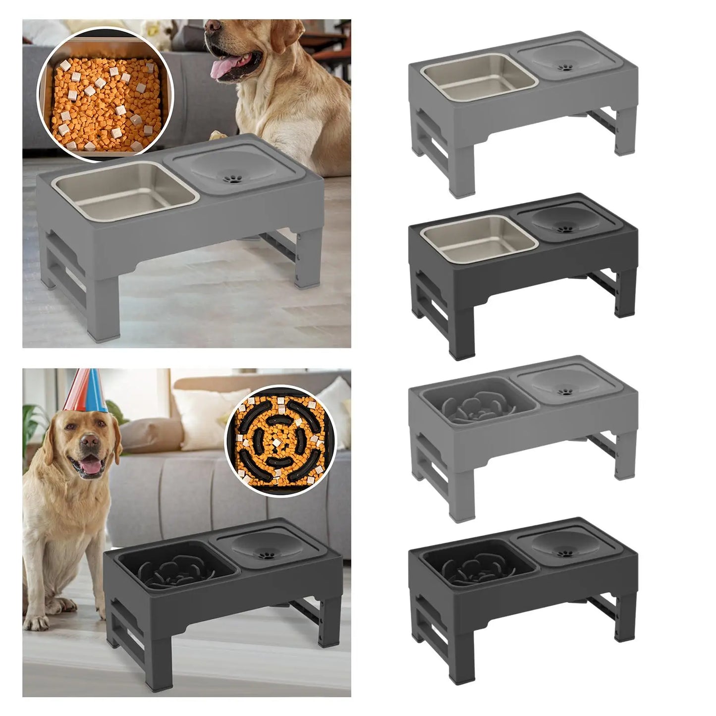 Pet Dog Bowl Elevated Feeder