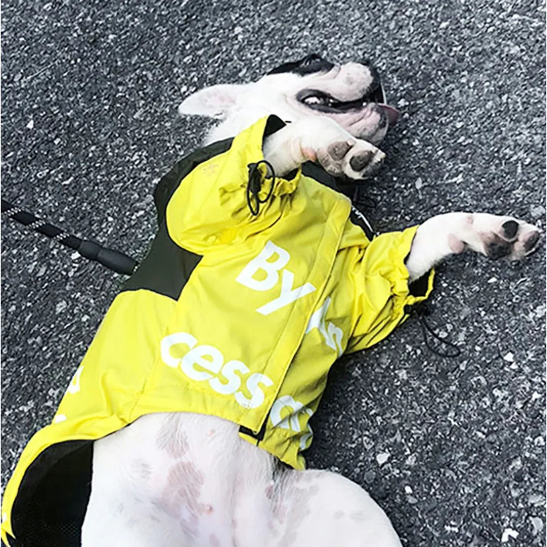 TheDogFace Pupreme Luxury Jacket