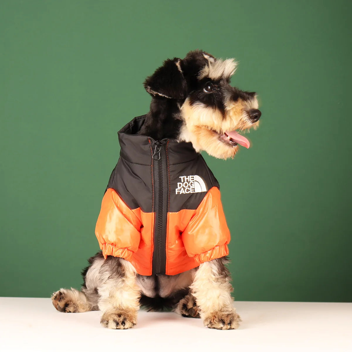TheDogFace Warm Windproof Jacket