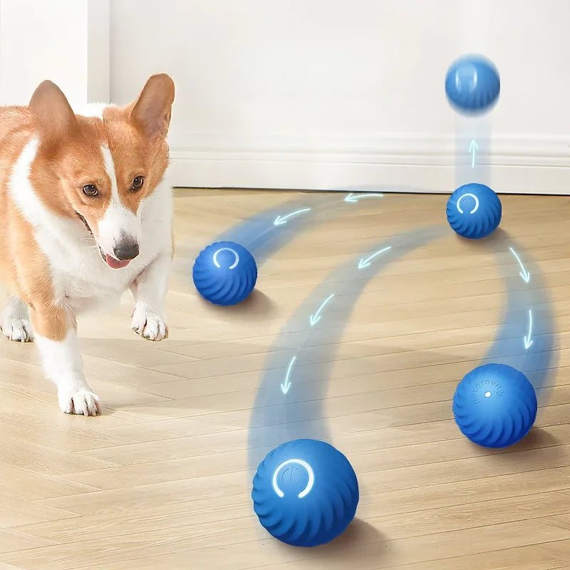 Automatic Smart USB Jumping Rotating Interactive Dog Chew Toy