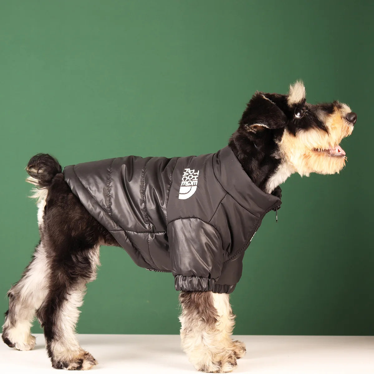 TheDogFace Warm Windproof Jacket