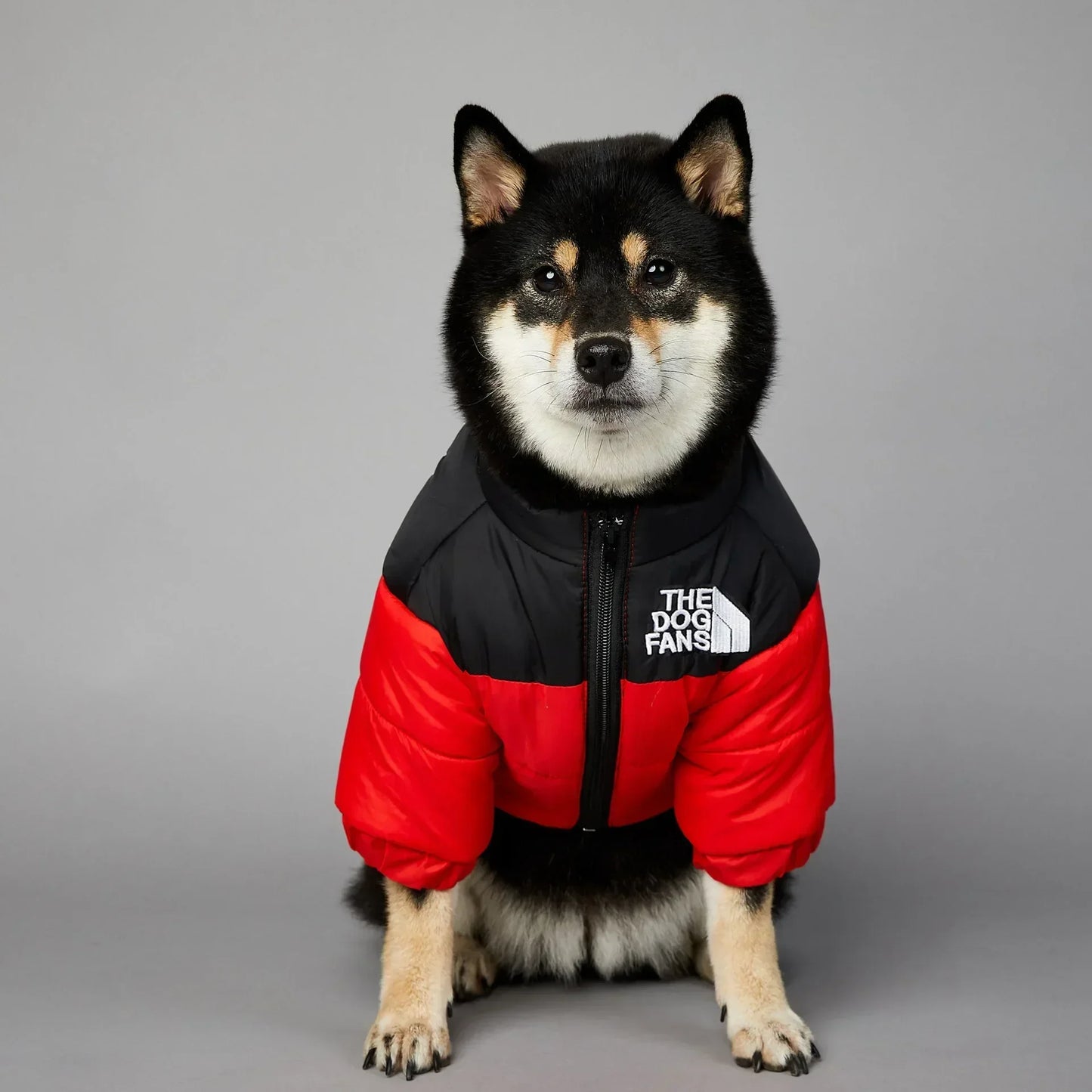 TheDogFans Luxury Jacket