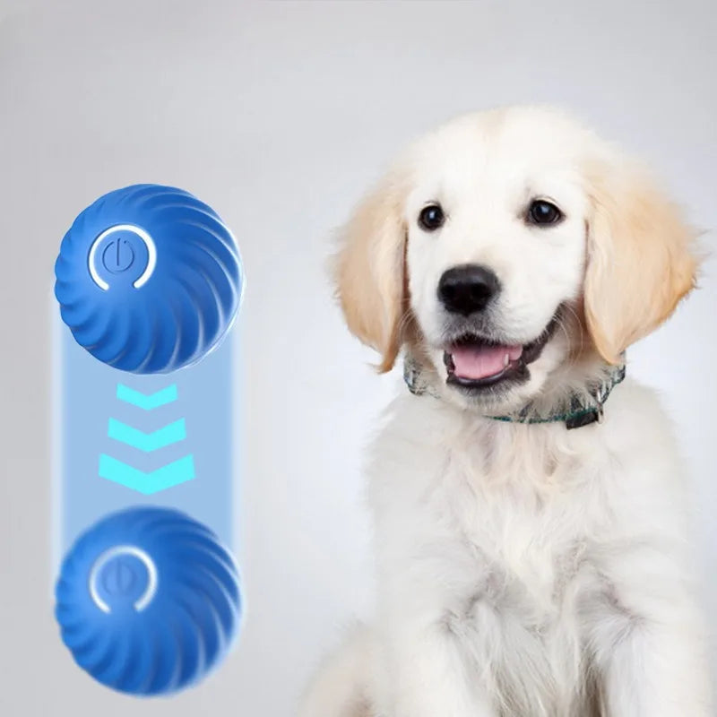 Automatic Smart USB Jumping Rotating Interactive Dog Chew Toy