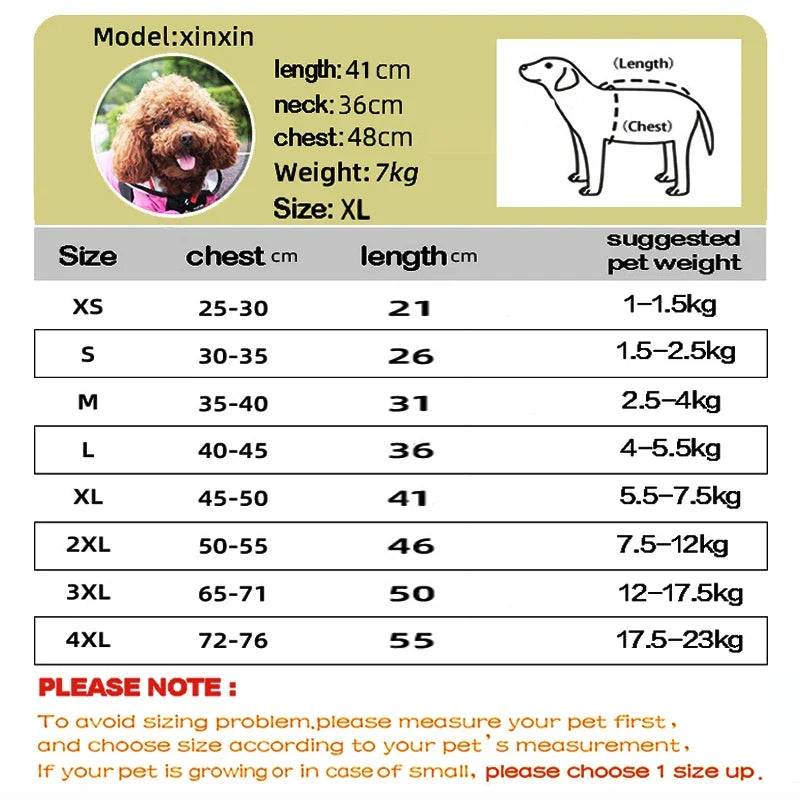 TheDogFace Raincoat Transparent Hooded Jumpsuit