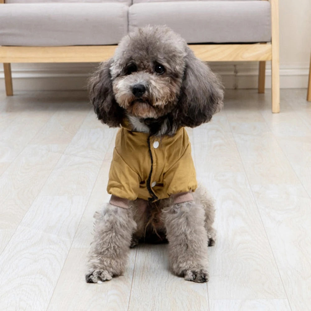 Warm Winter Fashion Jackets