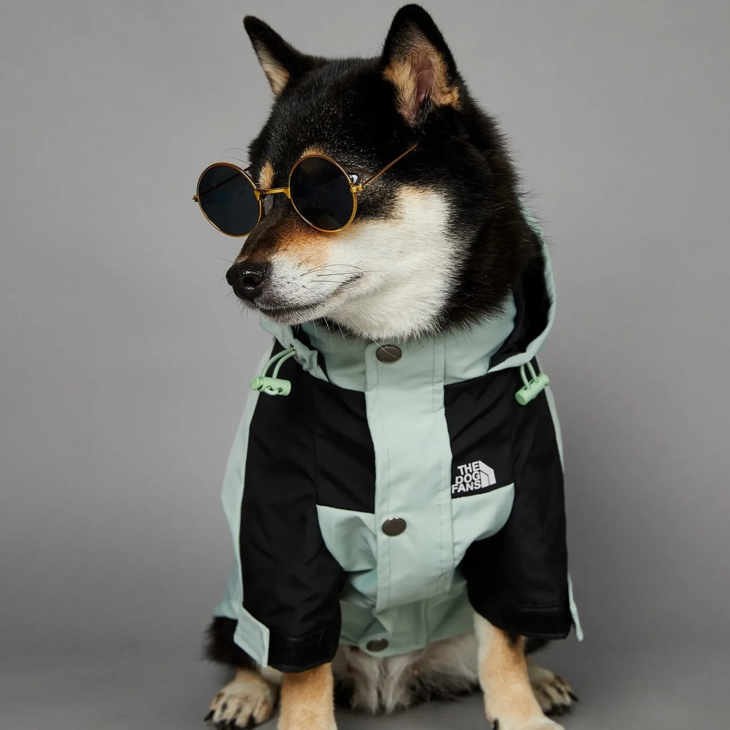 TheDogFans Waterproof Luxury Raincoat