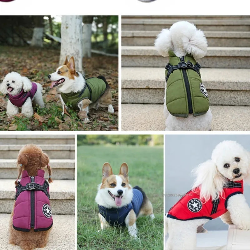Waterproof Dog Vest with Harness