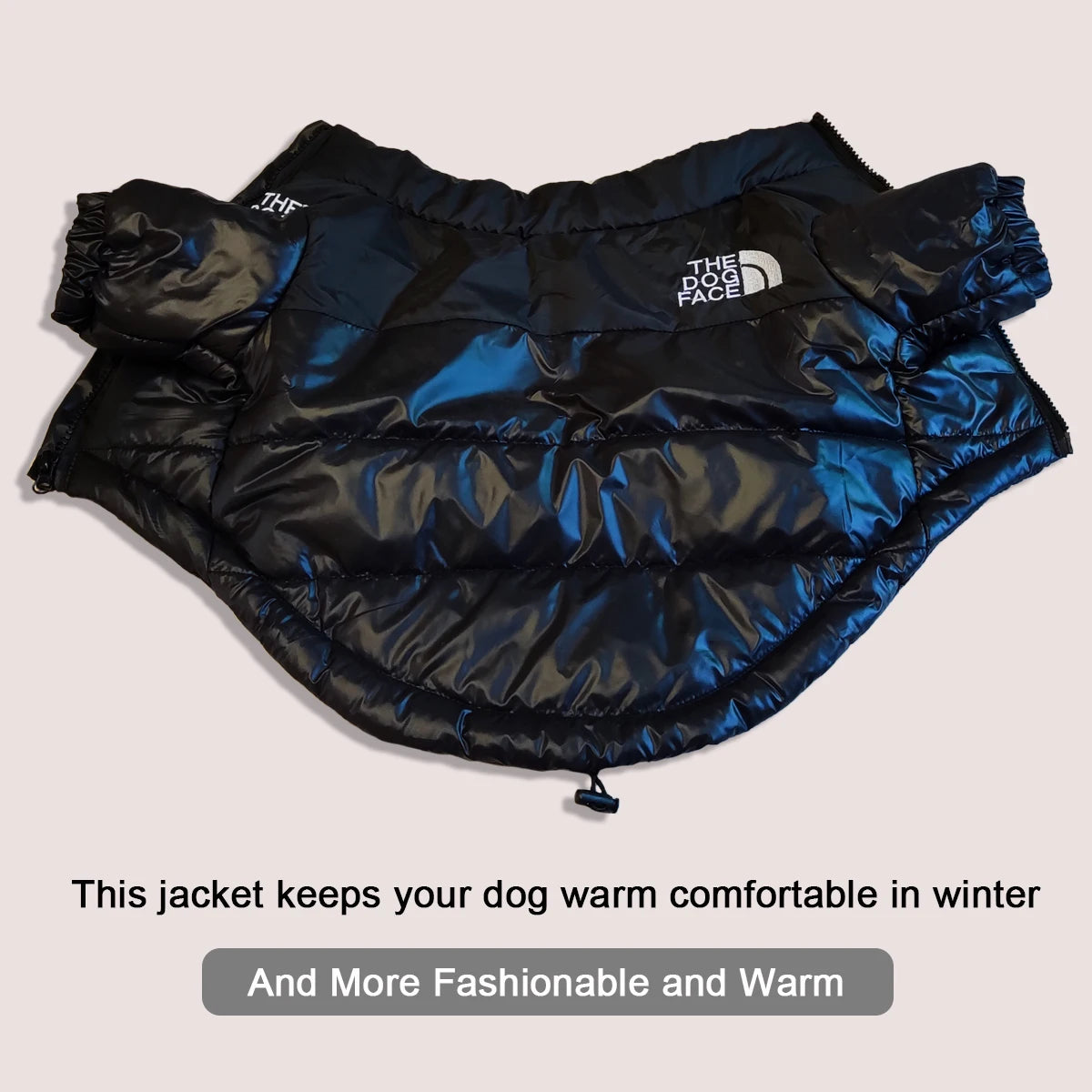 TheDogFace Warm Windproof Jacket