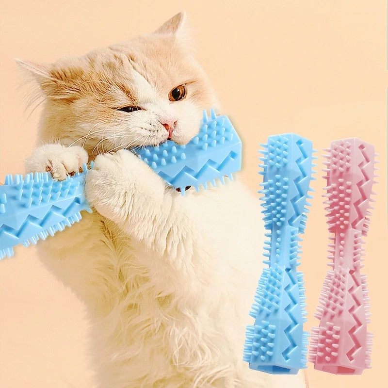Toothbrush Teeth Cleaning Chew Stick