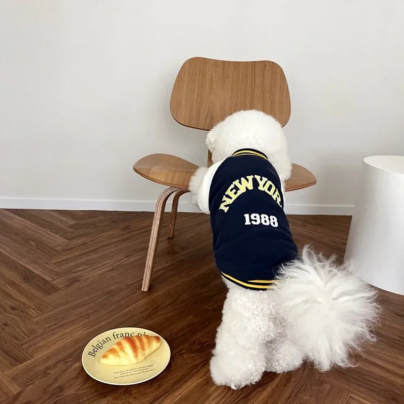 Fashion Baseball Jackets