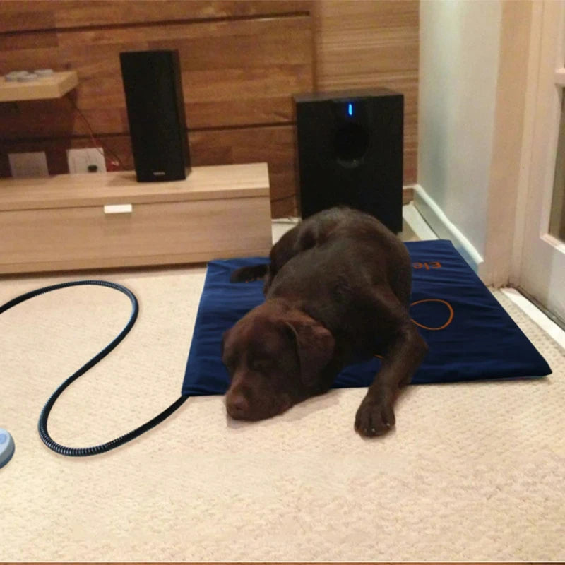 Waterproof Pet Heating Pad Electric Blanket