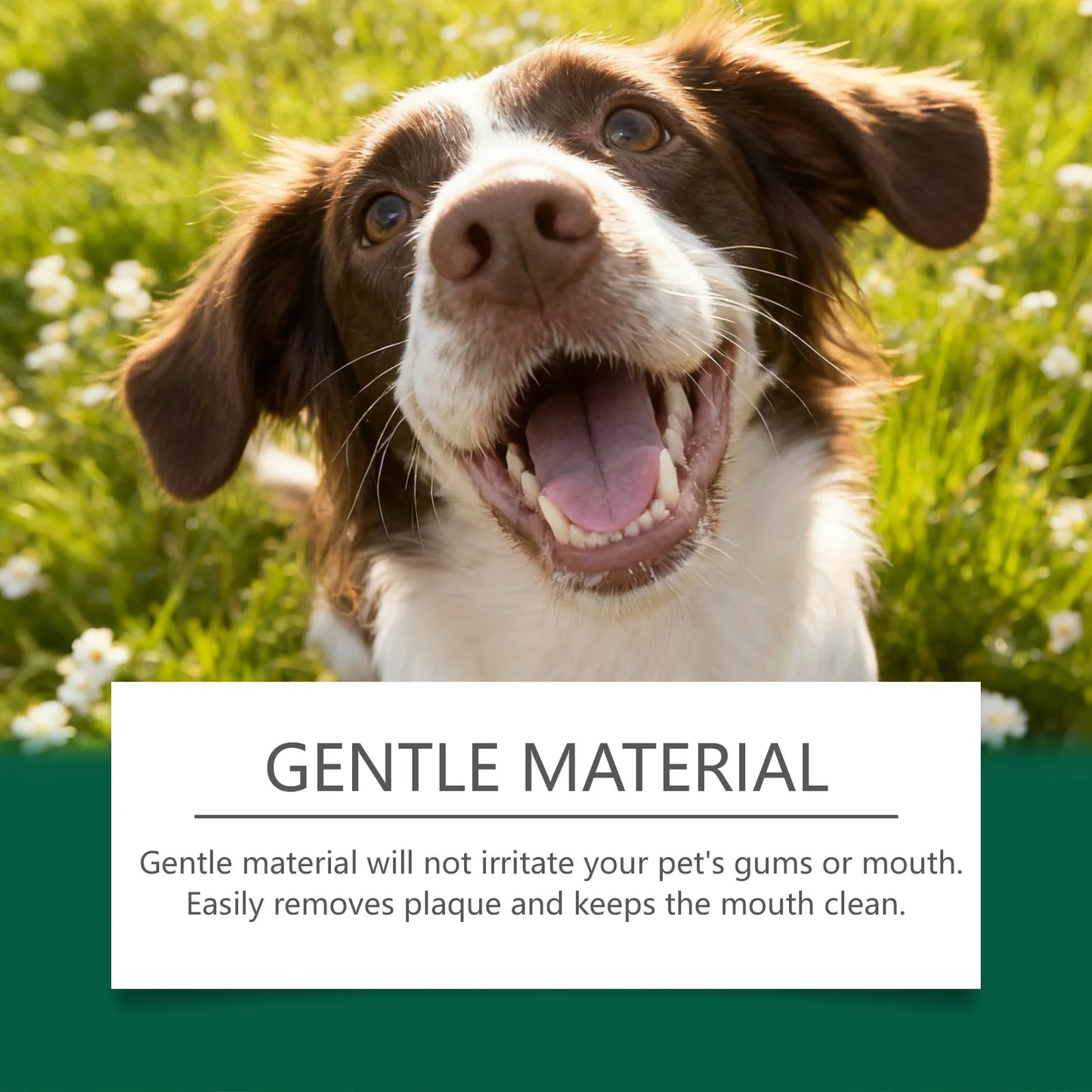 Pet Teeth Cleaning Wipes
