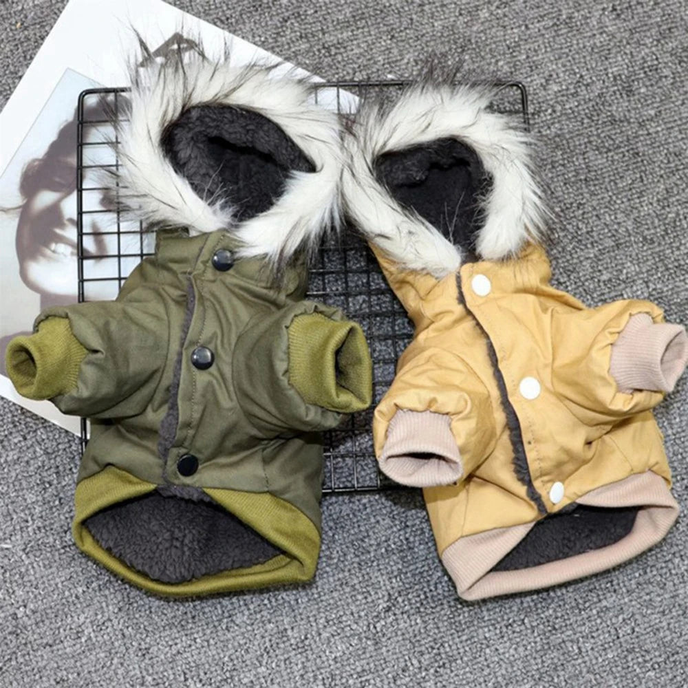 Warm Winter Fashion Jackets